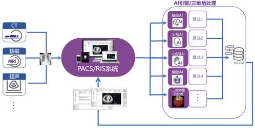 沈陽(yáng)市第六人民醫(yī)院 構(gòu)建智能化影像診斷體系，讓醫(yī)療服務(wù)更精準(zhǔn)、更高效